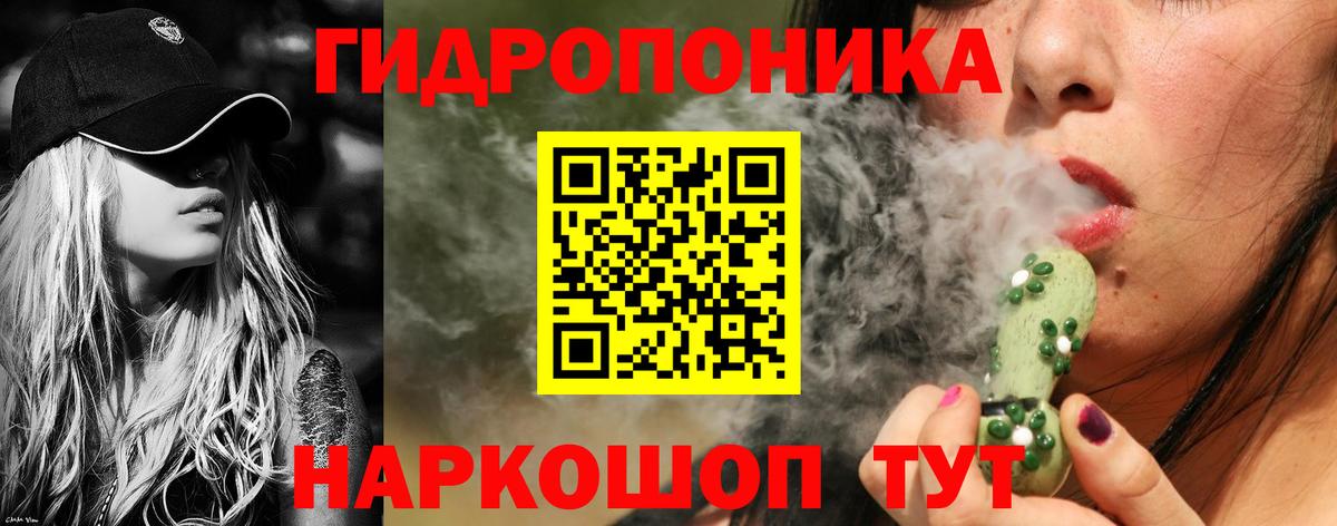 Псилоцибиновые грибы Ногинск